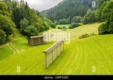 Paesaggio della Slovenia. Tradizionali scaffali per l'essiccazione del fieno in un prato nel Parco Nazionale del Triglav Foto Stock