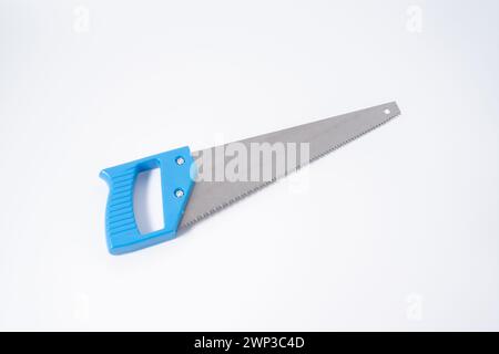 Visto isolato su sfondo bianco Foto Stock