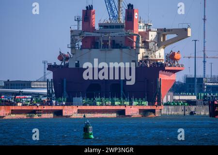 Rostock, Germania. 29 febbraio 2024. La nave speciale coreana "Sun Rise" è ormeggiata nel porto d'oltremare del porto di Rostock. L'Ufficio federale di statistica fornisce informazioni sulle attuali cifre relative alle esportazioni nel gennaio 2024. Crediti: Jens Büttner/dpa/Alamy Live News Foto Stock