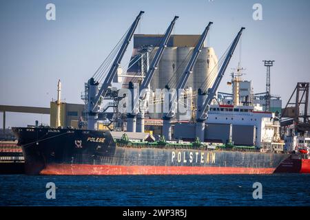 Rostock, Germania. 29 febbraio 2024. Navi da carico ormeggiate alla banchina di merci sfuse nel porto d'oltremare del porto di Rostock e in fase di carico. L'Ufficio federale di statistica fornisce informazioni sulle attuali cifre relative alle esportazioni nel gennaio 2024. Crediti: Jens Büttner/dpa/Alamy Live News Foto Stock