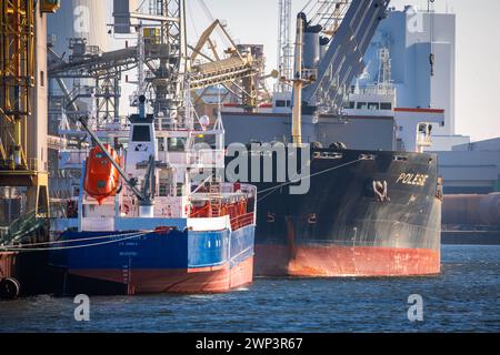 Rostock, Germania. 29 febbraio 2024. Navi da carico ormeggiate alla banchina di merci sfuse nel porto d'oltremare del porto di Rostock e in fase di carico. L'Ufficio federale di statistica fornisce informazioni sulle attuali cifre relative alle esportazioni nel gennaio 2024. Crediti: Jens Büttner/dpa/Alamy Live News Foto Stock