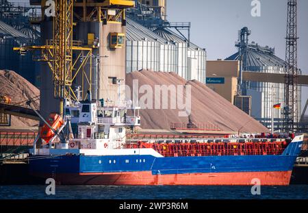 Rostock, Germania. 29 febbraio 2024. Navi da carico ormeggiate alla banchina di merci sfuse nel porto d'oltremare del porto di Rostock e in fase di carico. L'Ufficio federale di statistica fornisce informazioni sulle attuali cifre relative alle esportazioni nel gennaio 2024. Crediti: Jens Büttner/dpa/Alamy Live News Foto Stock