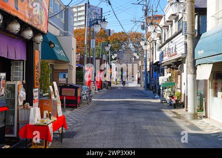 KAWAGOE, GIAPPONE - 21 novembre 2023 - Vista di una strada di Kawagoe, una città castello del periodo Edo a nord-ovest di Tokyo, Giappone. Foto Stock