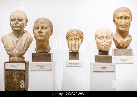 Una collezione di busti in marmo di individui non identificati esposti a Siviglia. Foto Stock