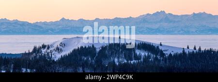 Vista dal Feldberg sull'Herzogenhorn sulle Alpi svizzere, di fronte all'alba, il quartiere Breisgau-Hochschwarzwald, Baden-Wuerttemberg, Germania Foto Stock