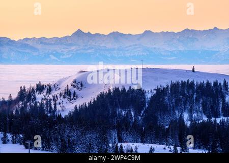 Vista dal Feldberg sull'Herzogenhorn sulle Alpi svizzere, di fronte all'alba, il quartiere Breisgau-Hochschwarzwald, Baden-Wuerttemberg, Germania Foto Stock