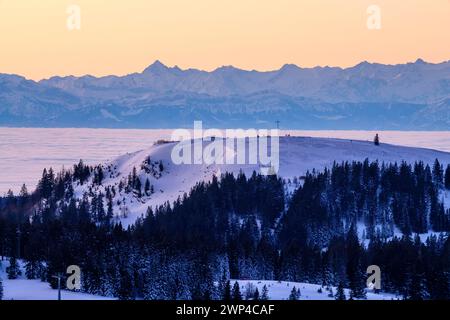 Vista dal Feldberg sull'Herzogenhorn sulle Alpi svizzere, di fronte all'alba, il quartiere Breisgau-Hochschwarzwald, Baden-Wuerttemberg, Germania Foto Stock
