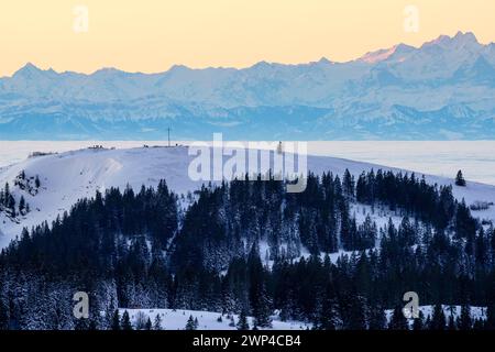 Vista dal Feldberg sull'Herzogenhorn sulle Alpi svizzere, l'alba, il quartiere Breisgau-Hochschwarzwald, Baden-Wuerttemberg, Germania Foto Stock