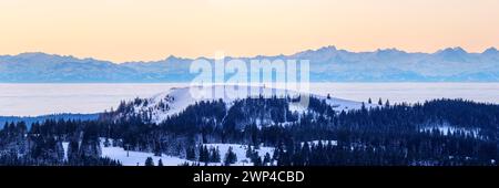 Vista dal Feldberg sull'Herzogenhorn sulle Alpi svizzere, di fronte all'alba, il quartiere Breisgau-Hochschwarzwald, Baden-Wuerttemberg, Germania Foto Stock