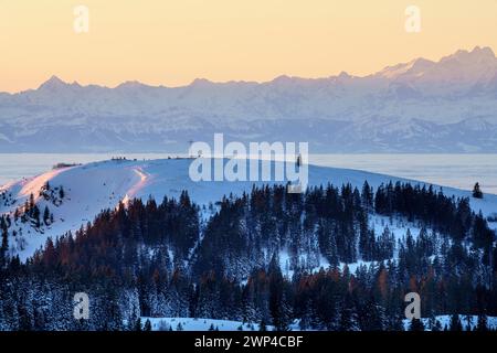 Vista dal Feldberg sull'Herzogenhorn sulle Alpi svizzere, l'alba, il quartiere Breisgau-Hochschwarzwald, Baden-Wuerttemberg, Germania Foto Stock