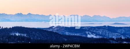 Vista dal Feldberg sull'Herzogenhorn sulle Alpi svizzere, di fronte all'alba, il quartiere Breisgau-Hochschwarzwald, Baden-Wuerttemberg, Germania Foto Stock