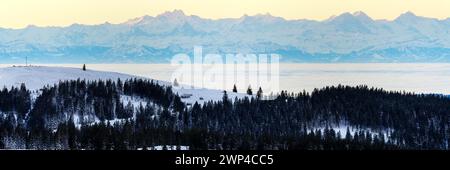 Vista dal Feldberg sull'Herzogenhorn sulle Alpi svizzere, l'alba, il quartiere Breisgau-Hochschwarzwald, Baden-Württemberg, Germania, Europa Foto Stock