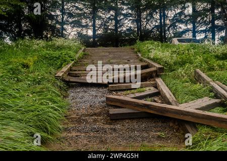 Vecchie scale di legno ricoperte di fogliame su un sentiero naturalistico attraverso boschi, in Corea del Sud Foto Stock