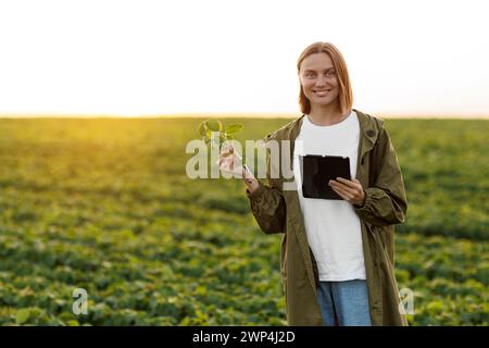 Agriturismo moderno. Una donna agricola tiene in mano tablet digitali e impianti di soia sul campo, esamina, controlla, tecnologia di soia Smart Farming. Controllo della crescita, sviluppo dei germogli prima della raccolta Foto Stock