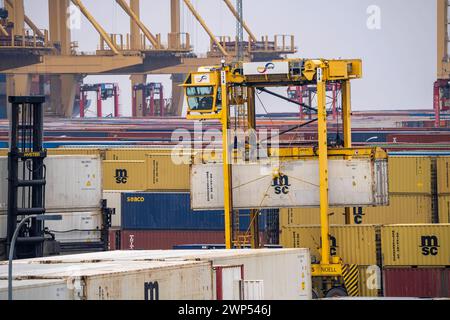 Containerterminal im Seehafen Bremerhaven, Eurogate Container Terminal mit fast 50 Containerbrücken, Kränen, auf einer Länge von über 4 KM an der Wesermündung, Portalhubwagen bringen die container von und zu den Containerschiffen, bzw. Lagern sie zwischen, Bremerhaven, Brema, Deutschland Container Terminal Bremerhaven *** Container Terminal nel porto marittimo di Bremerhaven, Eurogate Container Terminal con quasi 50 gru a cavalletto per container, gru, su una lunghezza superiore a 4 KM alla foce del Weser, i supporti a sella portano i contenitori da e verso le navi portacontainer, oppure li conservano tra, BR Foto Stock