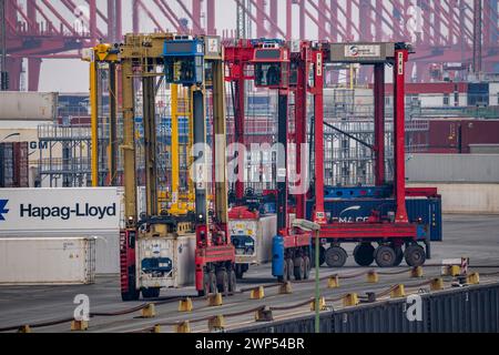 Containerterminal im Seehafen Bremerhaven, Eurogate Container Terminal mit fast 50 Containerbrücken, Kränen, auf einer Länge von über 4 KM an der Wesermündung, Portalhubwagen bringen die container von und zu den Containerschiffen, bzw. Lagern sie zwischen, Bremerhaven, Brema, Deutschland Container Terminal Bremerhaven *** Container Terminal nel porto marittimo di Bremerhaven, Eurogate Container Terminal con quasi 50 gru a cavalletto per container, gru, su una lunghezza superiore a 4 KM alla foce del Weser, i supporti a sella portano i contenitori da e verso le navi portacontainer, oppure li conservano tra, BR Foto Stock