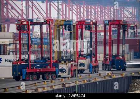 Containerterminal im Seehafen Bremerhaven, Eurogate Container Terminal mit fast 50 Containerbrücken, Kränen, auf einer Länge von über 4 KM an der Wesermündung, Portalhubwagen bringen die container von und zu den Containerschiffen, bzw. Lagern sie zwischen, Bremerhaven, Brema, Deutschland Container Terminal Bremerhaven *** Container Terminal nel porto marittimo di Bremerhaven, Eurogate Container Terminal con quasi 50 gru a cavalletto per container, gru, su una lunghezza superiore a 4 KM alla foce del Weser, i supporti a sella portano i contenitori da e verso le navi portacontainer, oppure li conservano tra, BR Foto Stock