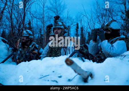 I soldati dell'esercito degli Stati Uniti assegnati al 3rd Battalion, 509th Infantry Regiment, 11th Airborne Division, esplorano l'area per le forze blu come forza avversaria durante il Joint Pacific Multinational Readiness Center (JPMRC) 24-02 presso Donnelly Training area, Alaska, 20 febbraio 2024. JPMRC 24-02 facilita una serie di opportunità per forze combinate, congiunte e di servizio di sviluppare e testare capacità operative artiche, a differenza di qualsiasi altro impianto di addestramento al mondo. (Foto U.S. Army di SPC. Brendon Donahue) Foto Stock