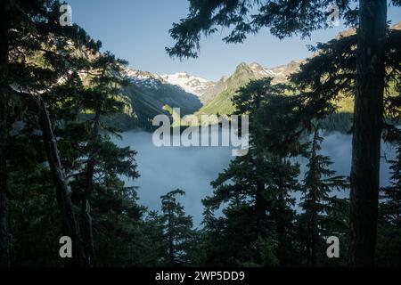 La nebbia si trova nella valle sotto il sentiero del fiume Hoh nell'Olympic National Park Foto Stock