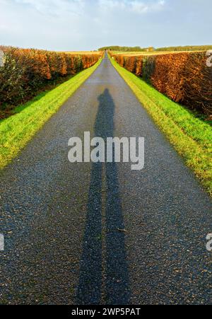 La strada di avvicinamento al Castello di Mey, vicino Thurso, Caithness, Scozia, Regno Unito, con l'ombra del fotografo in primo piano. Foto Stock