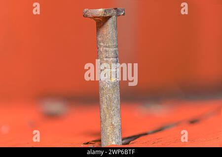 Un chiodo galvanizzato si appoggia fortemente su una tavola rossa verniciata, con un contrasto colorato che riecheggia l'essenza della precisione artigianale. Foto Stock