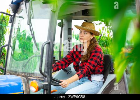 Giovane lavoratrice agricola che guida un piccolo trattore in frutteto Foto Stock