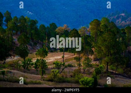 Splendide Green Mountains e valli di Lansdowne nel distretto di Garhwal, Uttarakhand. Lansdown Beautiful Hills. La bellezza della natura sulla collina Foto Stock