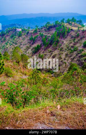 Splendide Green Mountains e valli di Lansdowne nel distretto di Garhwal, Uttarakhand. Lansdown Beautiful Hills. La bellezza della natura sulla collina Foto Stock