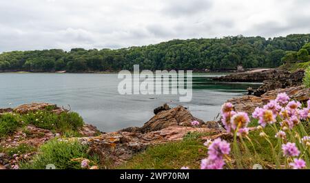 Splendido paesaggio costiero in una giornata di sole. Brixham Devon Regno Unito. Foto Stock