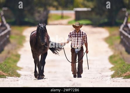 Cowboy, che conduce o cavalca in una fattoria per fare passeggiate o allenarsi con colt nel ranch occidentale in campagna. Forte, stallone o sano animale americano Foto Stock