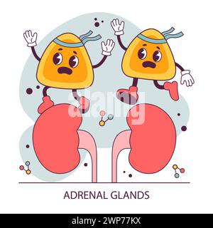 Organo endocrino. Funzione ghiandola umana. Ghiandola surrenale. Secrezione ed equilibrio degli ormoni umani. regolazione del sistema nervoso. Illustrazione vettoriale piatta Illustrazione Vettoriale