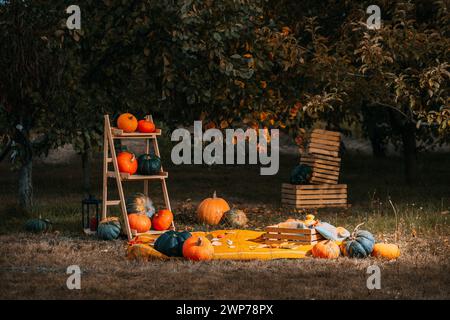 Ambientazione natalizia con produzione agricola Pumpkins sullo sfondo di un cortile rustico. Autunno, halloween, zucca, copyspace. la scaletta delle zucche si appoggia Foto Stock