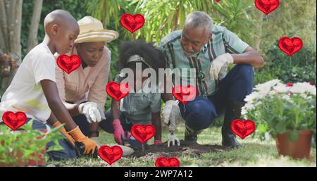 Immagine di palloncini cardiaci sulle piante da giardinaggio della famiglia afroamericana Foto Stock