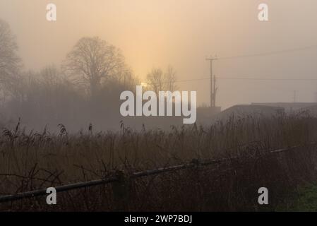 Ibsley, Ringwood, Hampshire, Regno Unito, 6 marzo 2024: Meteo. La mattina gelida nebbia con temperature appena sotto lo zero. È attivo un avviso meteorologico. Crediti: Paul Biggins/Alamy Live News Foto Stock