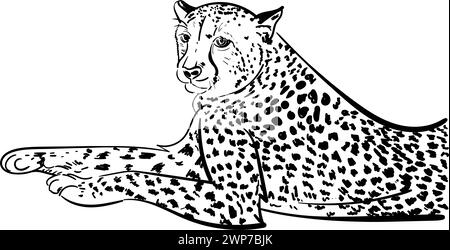 Cheetah appoggiato a terra disegnato a mano con inchiostro su sfondo bianco. Disegnare un'illustrazione animale in stile doodle. Incisione Illustrazione Vettoriale