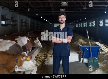 Un veterinario in scrub blu navy in un fienile. Ritratto di un veterinario maschio con le braccia incrociate. Presto lavoravo nel fienile e le mucche sullo sfondo Foto Stock