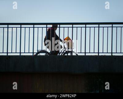 Donnington Bridge attraversa il Tamigi appena a monte di Oxford. Qui guardiamo in alto dal sentiero del Tamigi, che scorre sotto, per vedere un ciclista ov Foto Stock