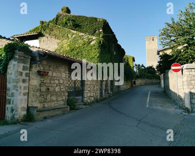 Edificio in pietra con facciata ricoperta di edera in una strada affascinante Foto Stock