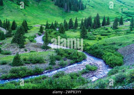 Fiume che scorre attraverso vibranti colline verdi accanto agli alberi Foto Stock