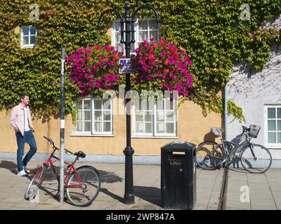 La Boston Ivy che copre questa casa a Broad Street, Oxford, si accende ogni autunno. Ma non e' ancora... Broad Street è una strada molto ampia Foto Stock