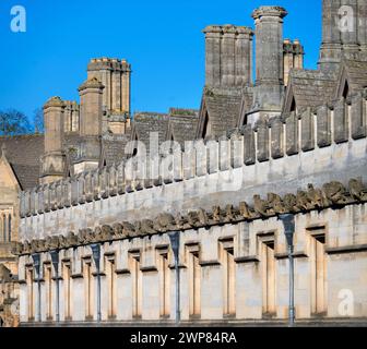 Ogni Oxford College - compreso Magdalen, qui mostrato - ha la sua famiglia di gargoyles molto propria e fantasiosa; per secoli, sono stati KE Foto Stock