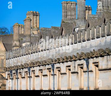 Ogni Oxford College - compreso Magdalen, qui mostrato - ha la sua famiglia di gargoyles molto propria e fantasiosa; per secoli, sono stati KE Foto Stock