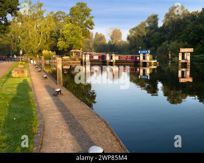 Abingdon-on-Thames afferma di essere la città più antica dell'Inghilterra. E il Tamigi attraversa il suo cuore. In questa scena idilliaca, vediamo una vista sulla r Foto Stock