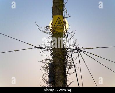 Una luna piena di Beaver si trova su un palo telefonico troppo grande nella mia casa a Radley Village. Beaver Moon è il nome convenzionale per The November ful Foto Stock