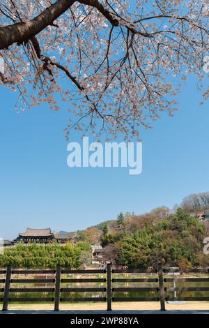 Padiglione tradizionale Yeongnamnu e fiume Miryang con fiori di ciliegio a Miryang, Corea Foto Stock