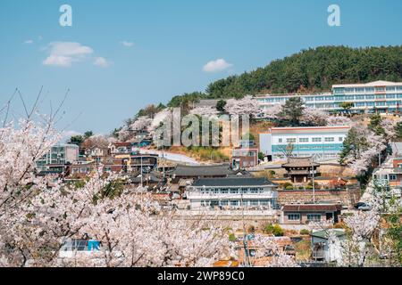 Vista del villaggio dei ciliegi in fiore a Miryang, Corea Foto Stock