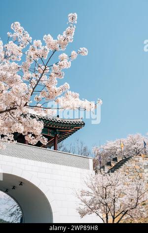 Porta della Fortezza di Miryang Eupseong con fiori di ciliegio a Miryang, Corea Foto Stock