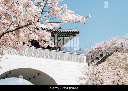 Porta della Fortezza di Miryang Eupseong con fiori di ciliegio a Miryang, Corea Foto Stock