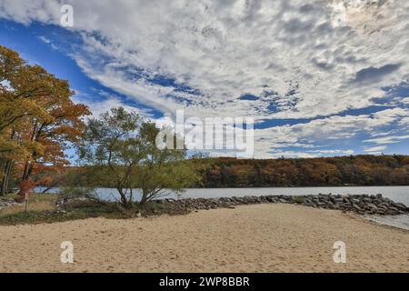 Alberi autunnali presso una piccola spiaggia sabbiosa presso il lago Deep Creek nella contea di Garrett, Maryland, in autunno pomeriggio Foto Stock