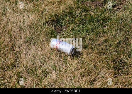 Lettiera nell'erba lungo la strada Foto Stock